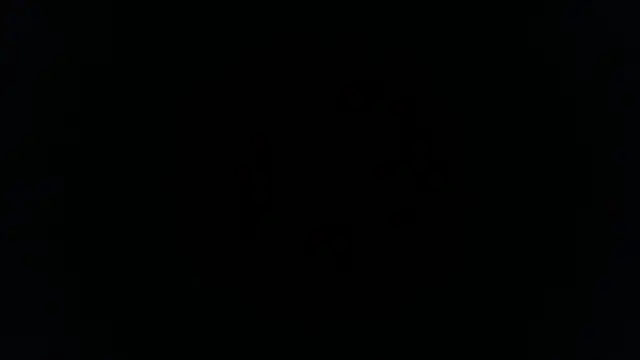 Snapshot of palidin1 chatting on 11/26/25, 01:17 palidin1 online show from 11/26/25, 01:17