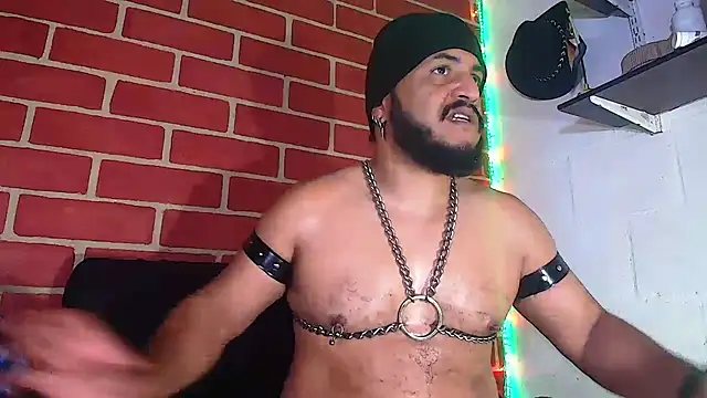 the master foal  online show from 01/03/25, 06:14