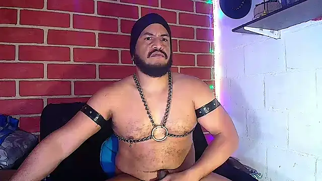 the master foal  online show from 01/14/25, 02:00