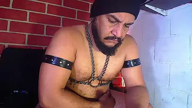 the master foal  online show from 01/14/25, 05:01