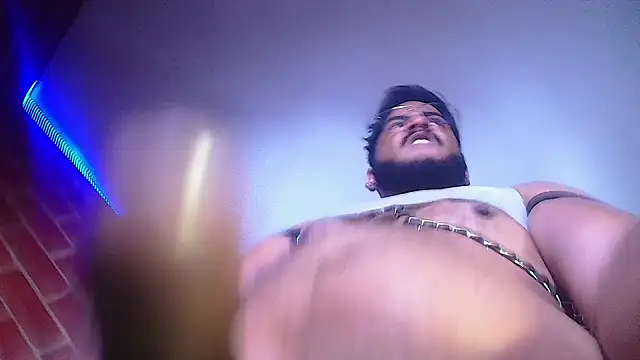 the master foal  online show from 01/23/25, 03:43