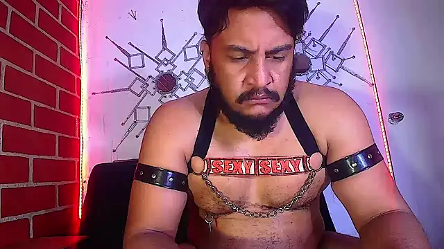 the master foal  online show from 02/16/25, 11:05