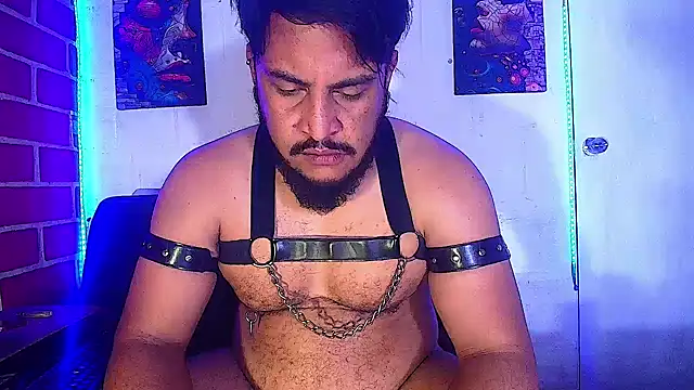 the master foal  online show from 02/19/25, 07:50