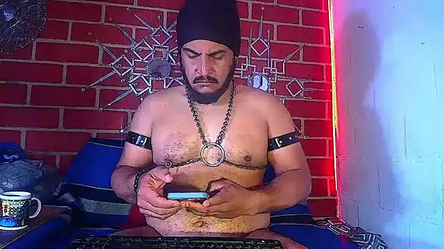 the master foal  online show from 03/19/25, 12:12