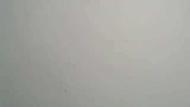 amy le01 online show from 02/28/25, 04:20