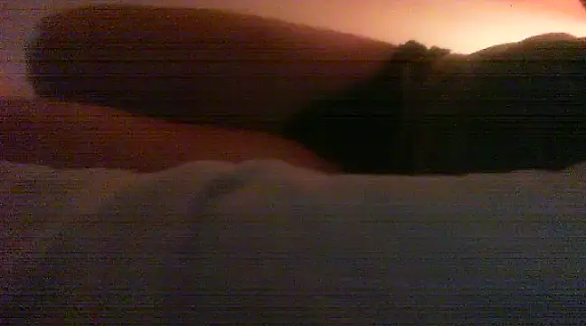 patrasdick94 online show from 02/13/25, 03:03