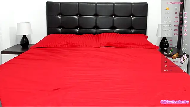 karinamadnessdesiree online show from 01/11/25, 01:11