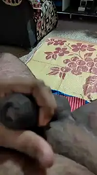 Swift2006 online show from 02/11/25, 04:11