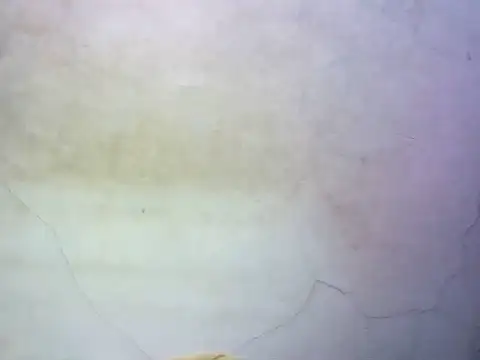 Snapshot of wet_babexxx chatting on 10/09/25, 10:30 wet babexxx online show from 10/09/25, 10:30