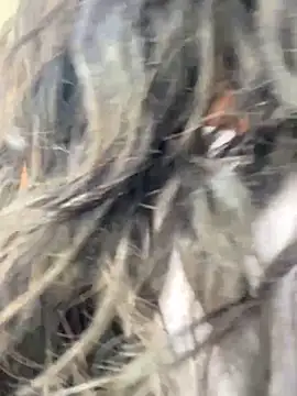 bea3liz online show from 12/18/24, 05:52