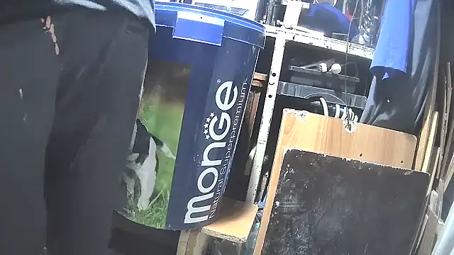 Snapshot of nonnomaturobisex chatting on 03/11/25, 03:12 nonnomaturobisex online show from 03/11/25, 03:12