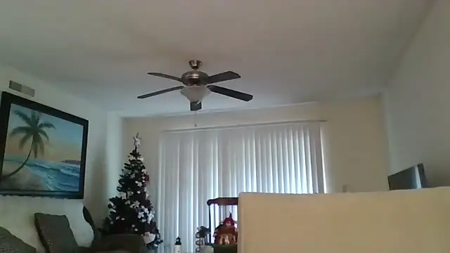 Snapshot of EvaRobinson chatting on 12/18/24, 05:31 EvaRobinson online show from 12/18/24, 05:31
