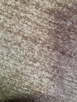 gokhanbey34 online show from 10/08/25, 02:36