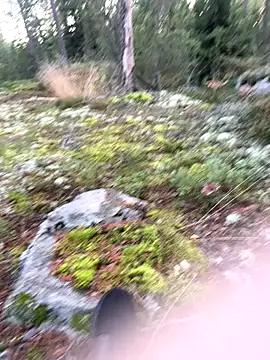 Andreashow online show from 09/22/25, 04:09