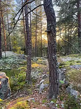 Andreashow online show from 10/19/25, 02:29