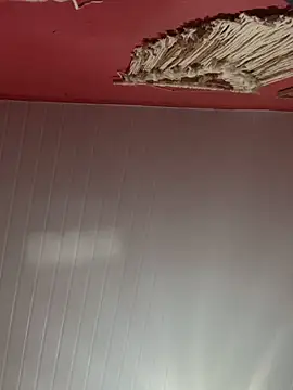 pimenta gaby online show from 10/28/25, 11:14