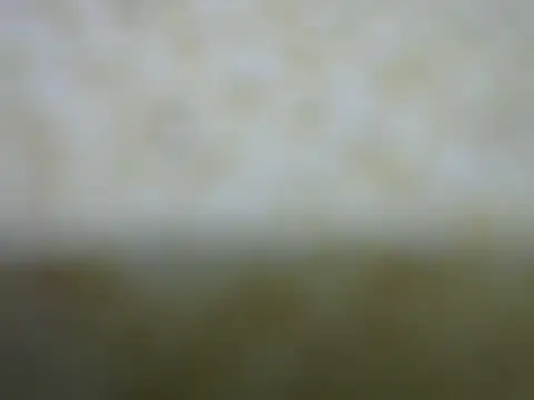castistee online show from 10/26/25, 10:36
