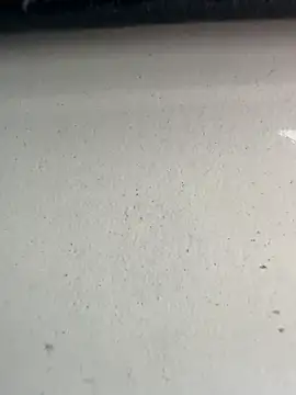 S2kicibey06 online show from 02/07/25, 07:29