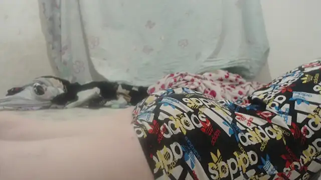 Snapshot of Kittywhiteass chatting on 03/16/25, 11:57 Kittywhiteass online show from 03/16/25, 11:57