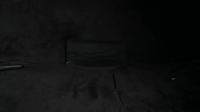 Snapshot of STOP-PANIC chatting on 02/01/25, 08:50 STOP-PANIC online show from 02/01/25, 08:50