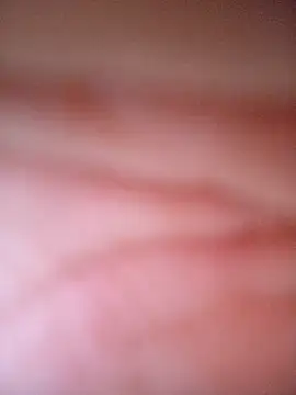 CASADASIGILO2 online show from 11/13/25, 11:03