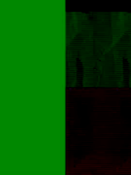 GeilerSchweizer online show from 11/25/25, 08:47