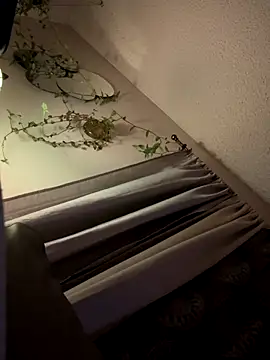 Snapshot of ClumsyLink chatting on 10/11/25, 12:47 ClumsyLink online show from 10/11/25, 12:47