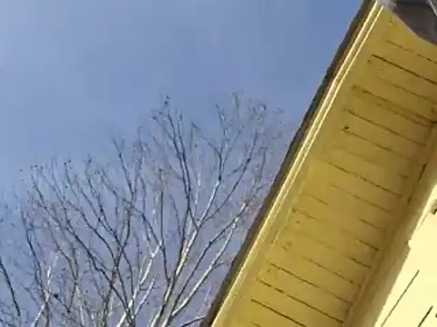 highstepper500 online show from 12/26/24, 02:12