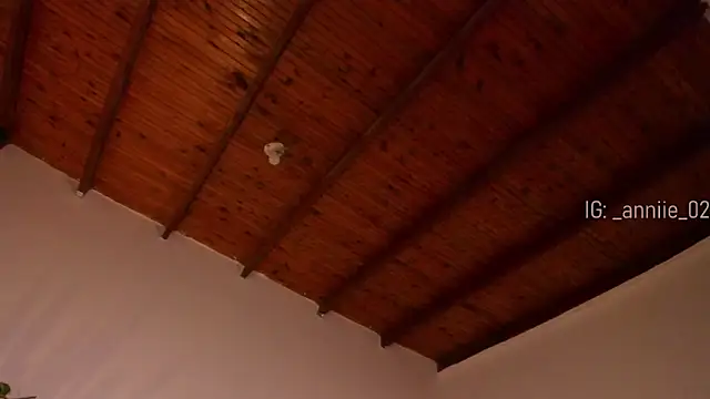 annie barozzi online show from 01/03/25, 04:37