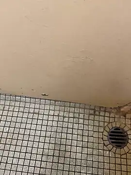 DreamerAsianGuy online show from 12/25/24, 12:16