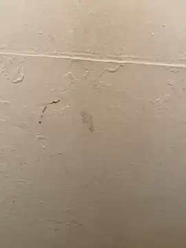 DreamerAsianGuy online show from 01/19/25, 03:50