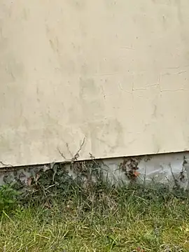 TalullaX online show from 03/19/25, 02:46