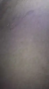 SLhigmama online show from 01/29/25, 05:45