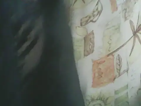 deluxpussy online show from 11/08/25, 06:24