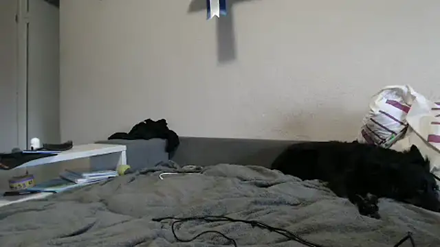 delightful sofi online show from 10/09/25, 02:26