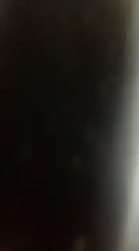 Likewise online show from 12/22/24, 09:09