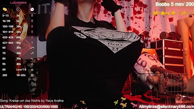 Snapshot of Silentmary chatting on 10/27/25, 09:02 Silentmary online show from 10/27/25, 09:02