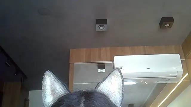 Skinny-Kitten online show from 11/19/25, 12:16