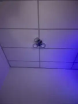 Snapshot of Charly_ chatting on 11/16/25, 05:46 Charly online show from 11/16/25, 05:46