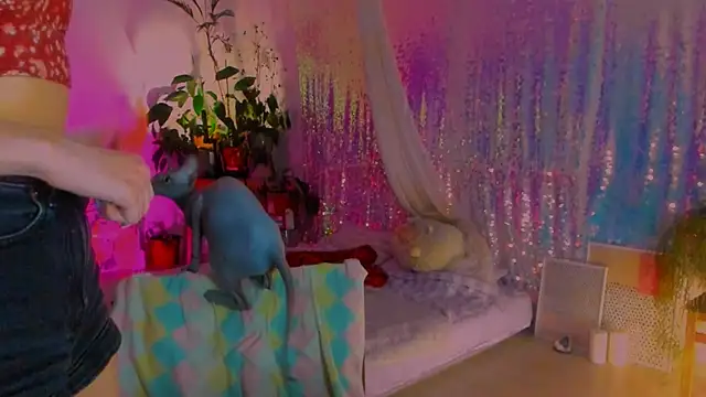 Snapshot of poli__ chatting on 02/06/25, 02:58 poli   online show from 02/06/25, 02:58