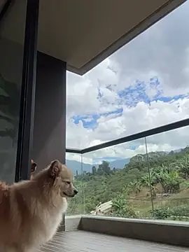 Snapshot of Helenbronwx chatting on 01/06/25, 06:52 Helenbronwx online show from 01/06/25, 06:52