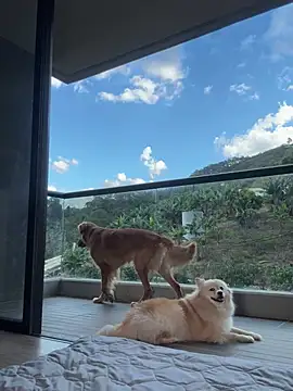 Snapshot of Helenbronwx chatting on 01/17/25, 09:28 Helenbronwx online show from 01/17/25, 09:28