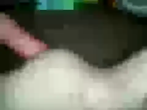 Snapshot of xxxlecram chatting on 01/15/25, 11:53 xxxlecram online show from 01/15/25, 11:53