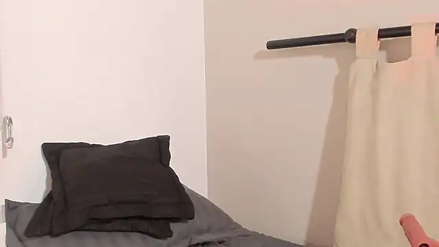 Snapshot of pamela_anderson_ chatting on 02/19/25, 06:55 pamela anderson online show from 02/19/25, 06:55