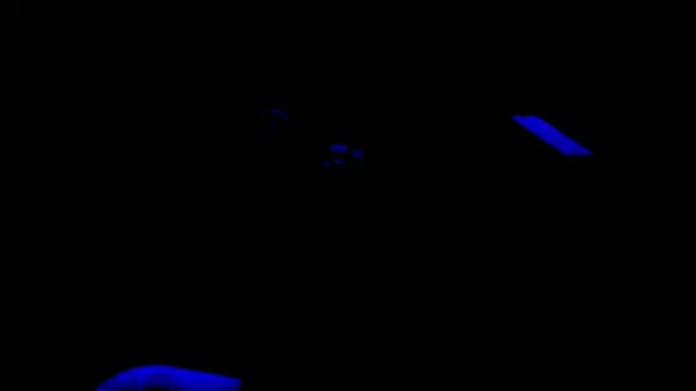 nzanizy online show from 01/31/25, 06:57