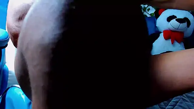 black latin23cm online show from 09/20/25, 11:06