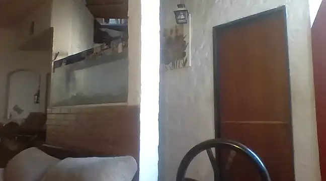 Stevenson988 online show from 01/31/25, 09:48