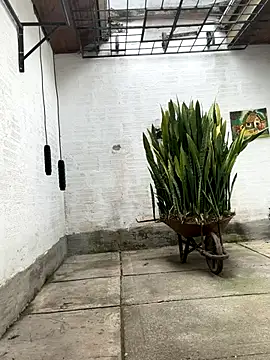 oliver price1 online show from 10/21/25, 03:13